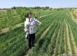 农民在承包林地种小麦被刑拘？官方通报，网友炸锅！